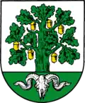 Brasão de Bergen