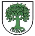 Brasão de Bubsheim