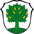 Brasão de Altenstadt
