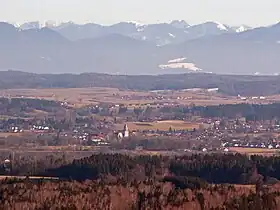 Horizonte de Polling