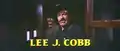 Lee J. Cobb, como Lou Ramsey, delegado amigo de Zeb