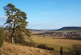 Horizonte de Wiesenthal