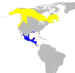 Área de distribuição de C. pusilla&nbsp;&nbsp;&nbsp;&nbsp;&nbsp;&nbsp;Época de reprodução&nbsp;&nbsp;&nbsp;&nbsp;&nbsp;&nbsp;Época de inverno
