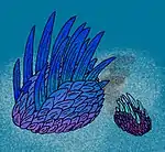 Wiwaxia  um possível molusco primitivo