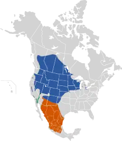 Distribuição de X. xanthocephalus Reprodução Invernante Residente