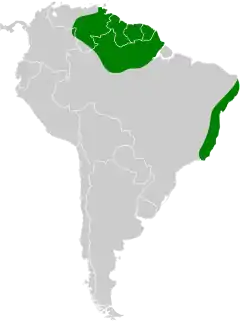 Distribuição do arapaçu-de-garganta-amarela