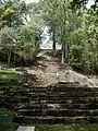 Templo 33 de Yaxchilan.