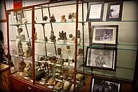 Vitrine na entrada do Petrie, com figurinhas e estatuetas