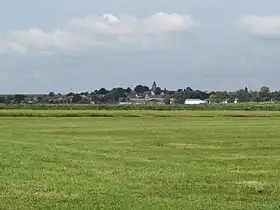 Horizonte de Rosenau