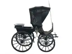 Fétone de D. José de Siqueira (1850-1900)