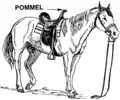 Pommel = Arção